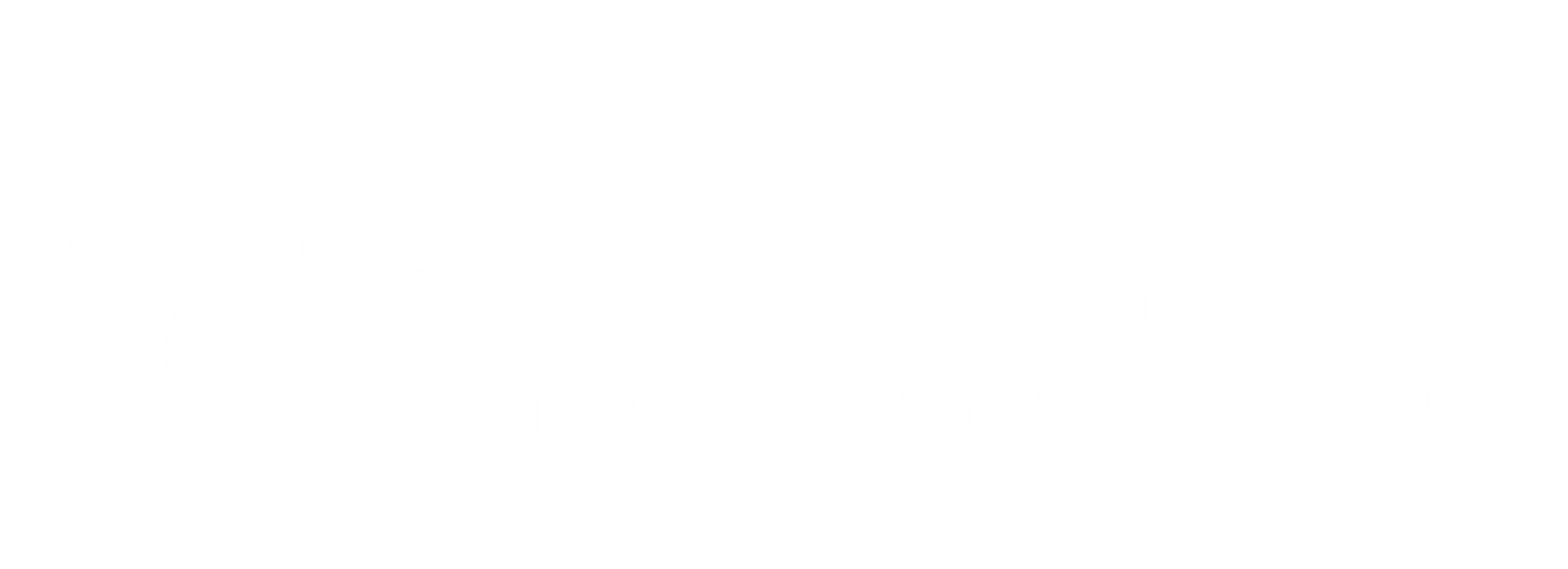 Saint Petersburg Women logo white version